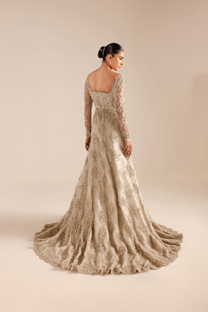 Royal Pakistani Wedding Dress in Bridal Gown and Veil Style