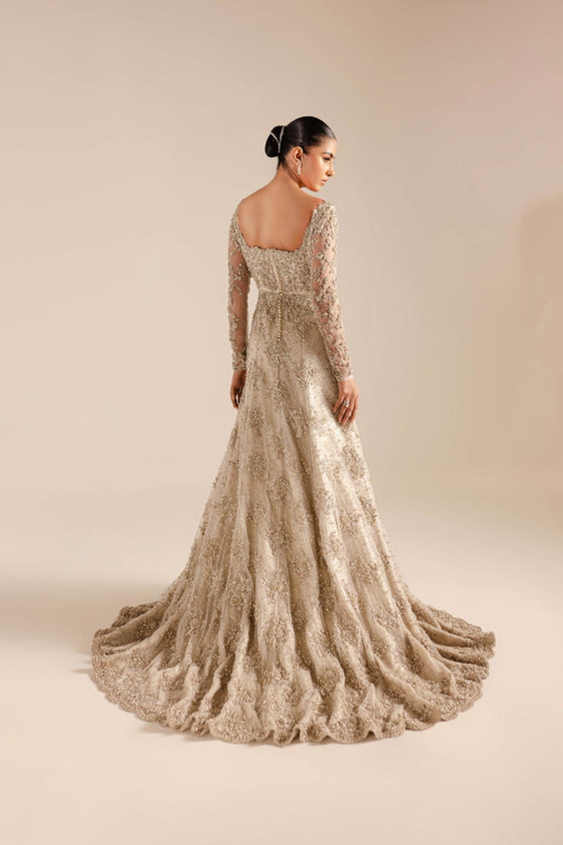 Royal Pakistani Wedding Dress in Bridal Gown and Veil Style