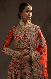 Royal Red Bridal Lehenga and Choli Pakistani Wedding Dress