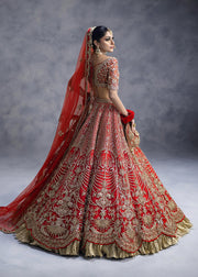 Royal Red Lehenga Choli and Dupatta Bridal Wedding Dress