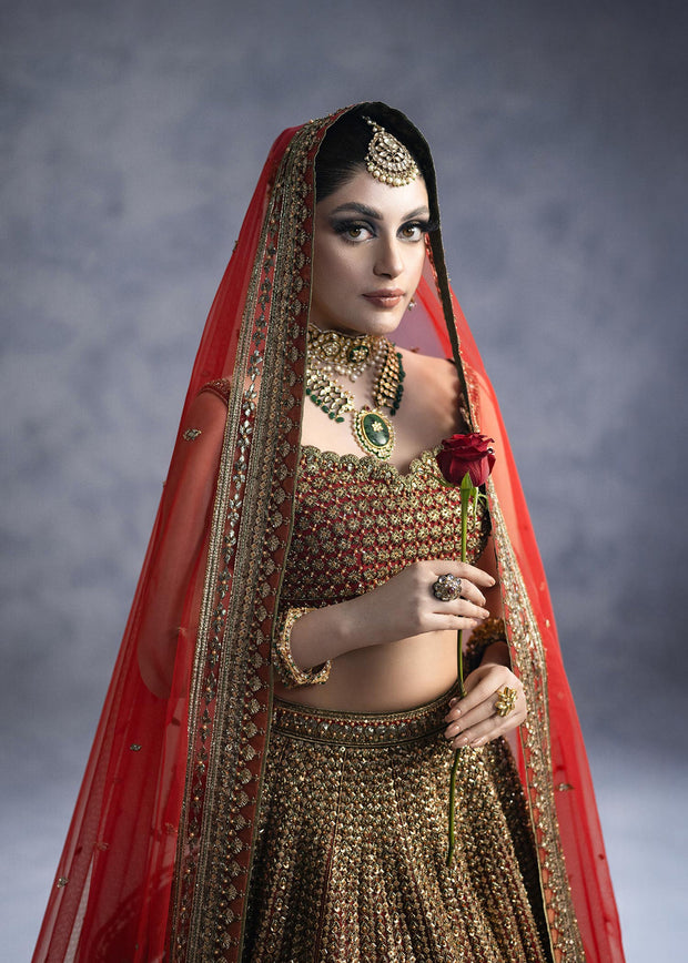 Royal Red Lehenga Choli and Dupatta Bridal Wedding Dress