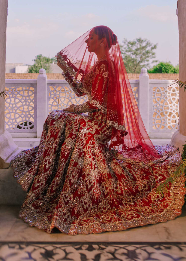 Royal Red Lehenga Choli and Dupatta Pakistani Bridal Dress