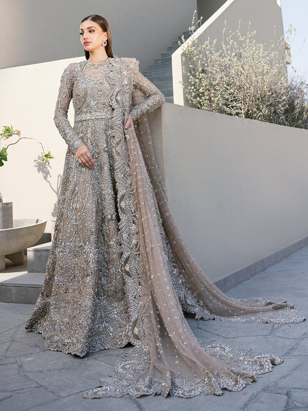 Elegant Royal Pakistani Bridal Dress for Weddings
