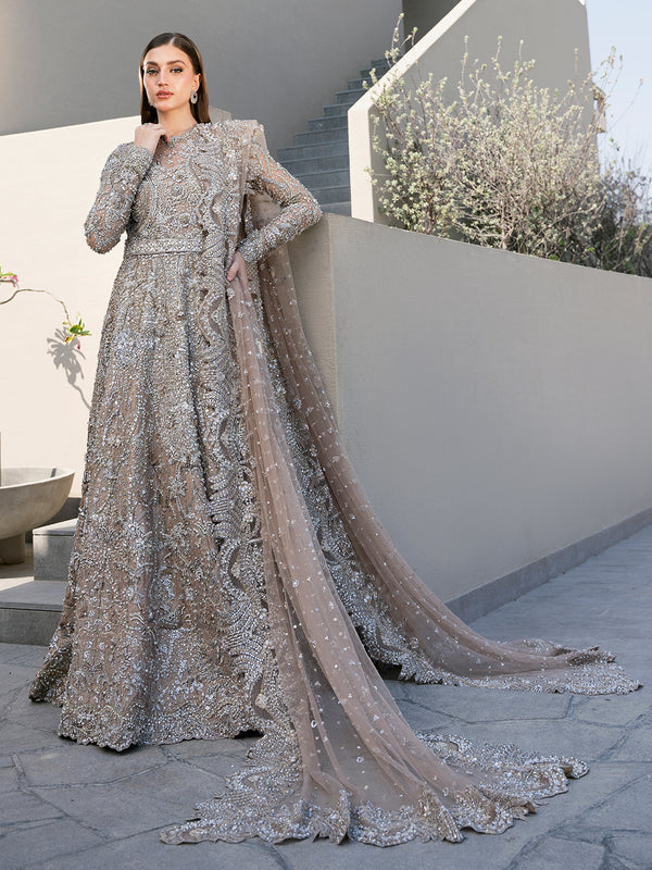 Elegant Royal Pakistani Bridal Dress for Weddings