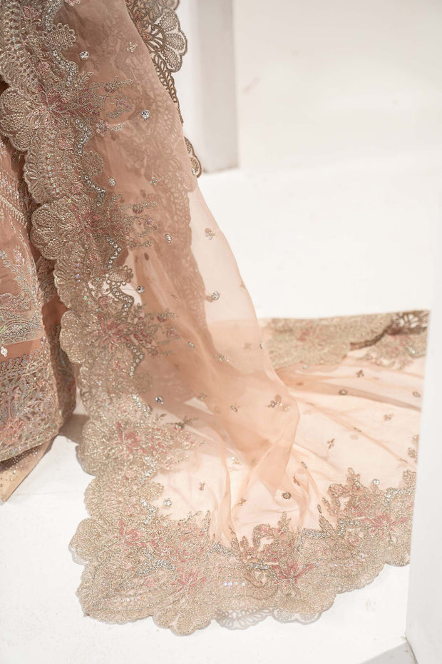 Royal Pakistani Party Wear in Embroidered Organza Suit