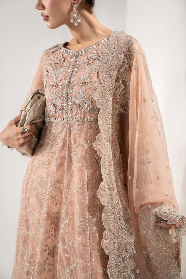 Royal Pakistani Party Wear in Embroidered Organza Suit Style