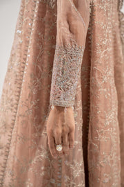 Royal Pakistani Party Wear in Embroidered Suit