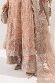 Royal Pakistani Party Wear in Organza Suit