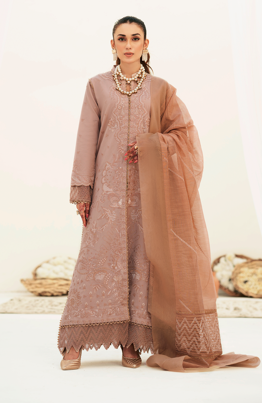 Rusty Pink Embroidered Pakistani Salwar Kameez with Dupatta Dress
