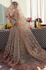 Bodice Embroidered Ensemble