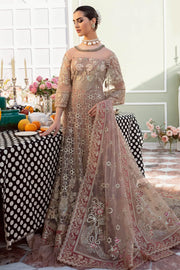 Bodice Embroidered Ensemble