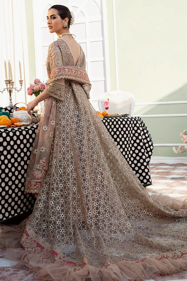 Bodice Embroidered Ensemble