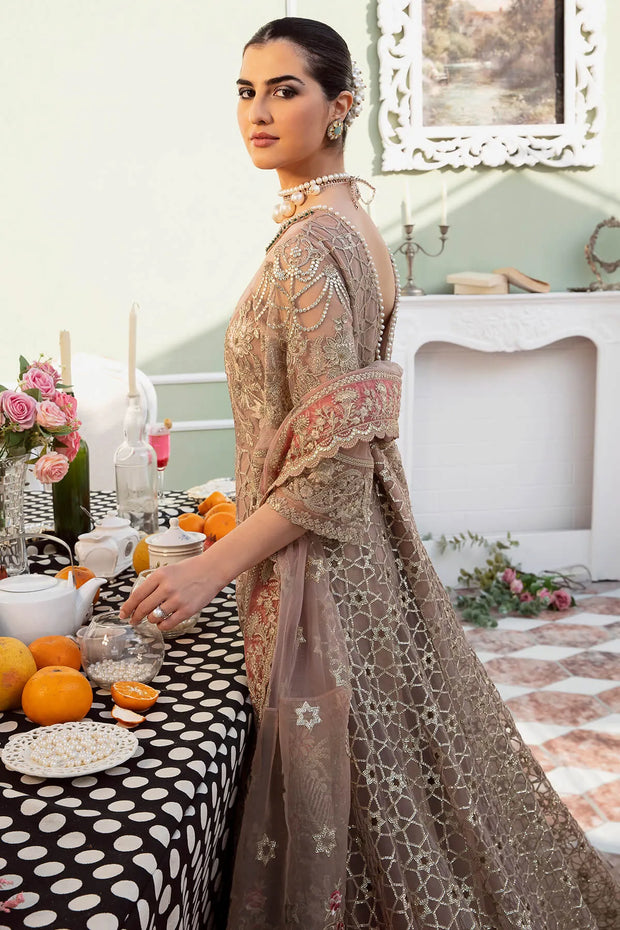 Bodice Embroidered Ensemble