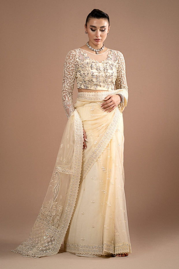 Imrozia Net Pakistani Dresses Embroidered