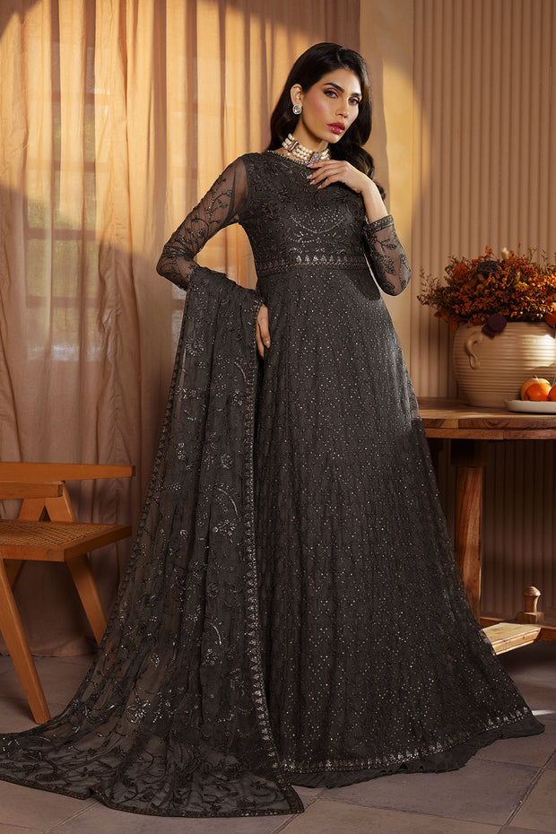 Elegant Sequins Embroidered Net and Silk Ensemble