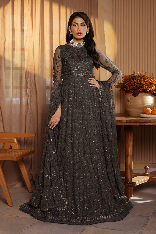 Elegant Sequins Embroidered Net and Silk Ensemble