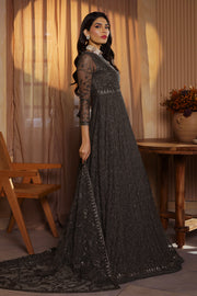 Elegant Sequins Embroidered Net and Silk Ensemble