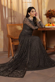 Elegant Sequins Embroidered Net and Silk Ensemble