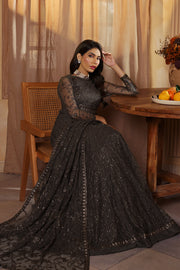 Elegant Sequins Embroidered Net and Silk Ensemble