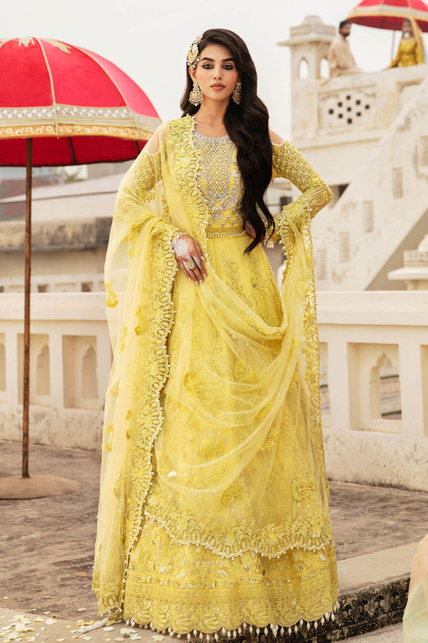 Embroidered Hand Embellished Organza Pakistani Bridal Lehenga