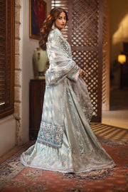 Neck Embroidered Lehenga