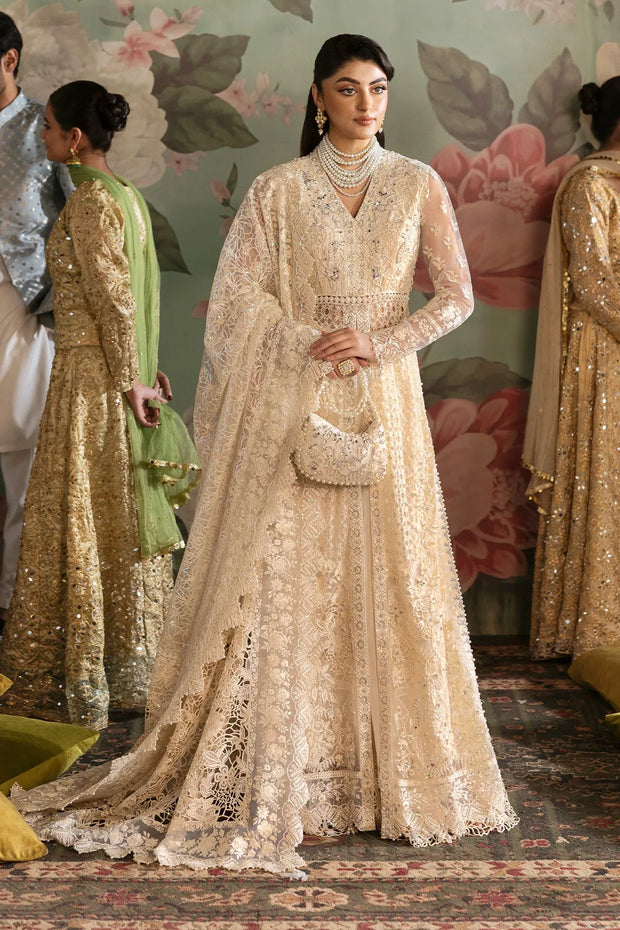 Elegant Pakistani Bridal Dress with Embroidered Details