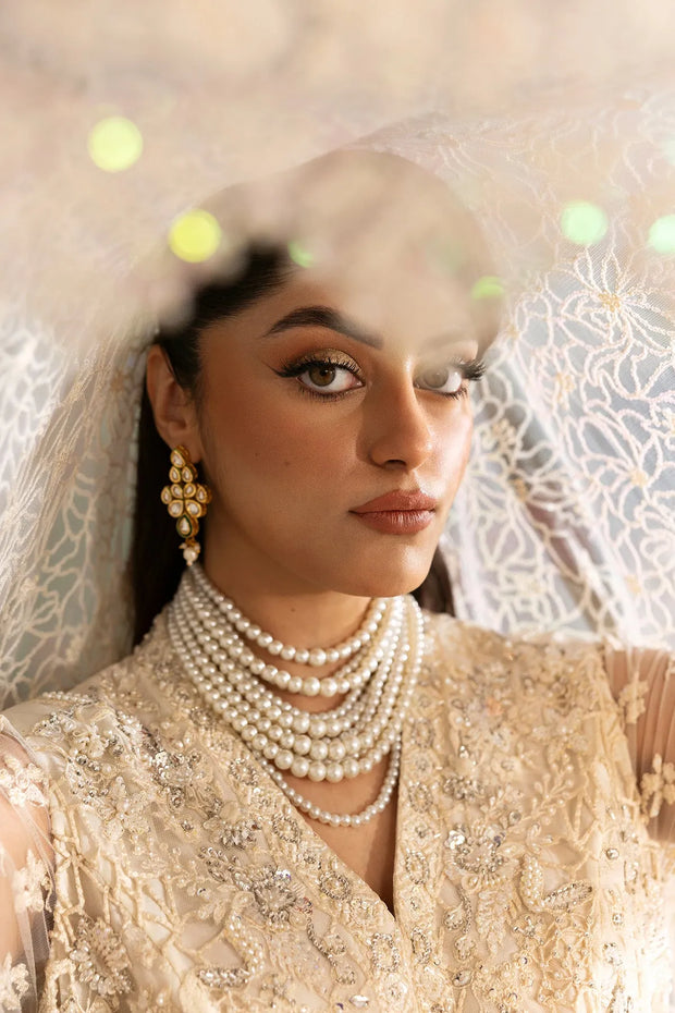 Elegant Pakistani Bridal Dress with Embroidered Details