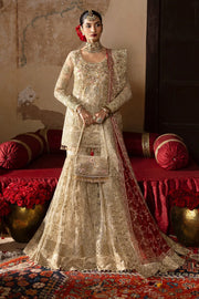 Stunning Pakistani Bridal Dress with Intricate Embroidery