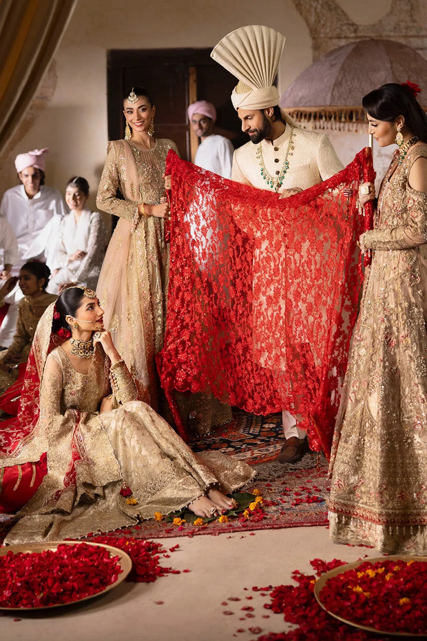 Elegant Pakistani Bridal Dress with Intricate Embroidery