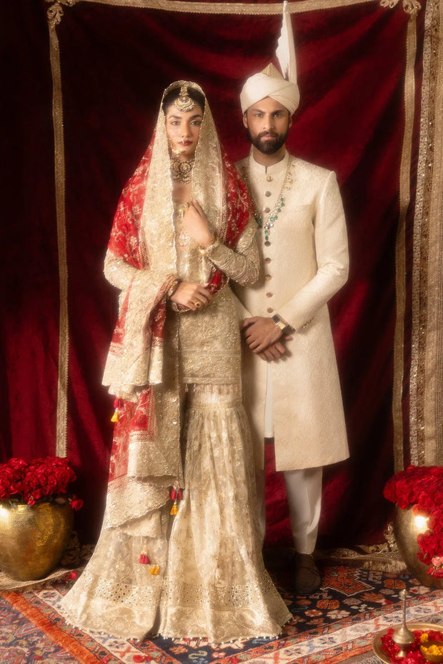 Elegant Pakistani Bridal Dress with Intricate Embroidery