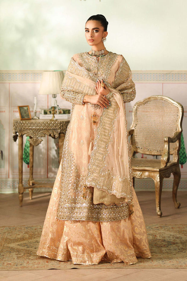 3 Piece Embroidered Net Suit Pakistani Party Dress