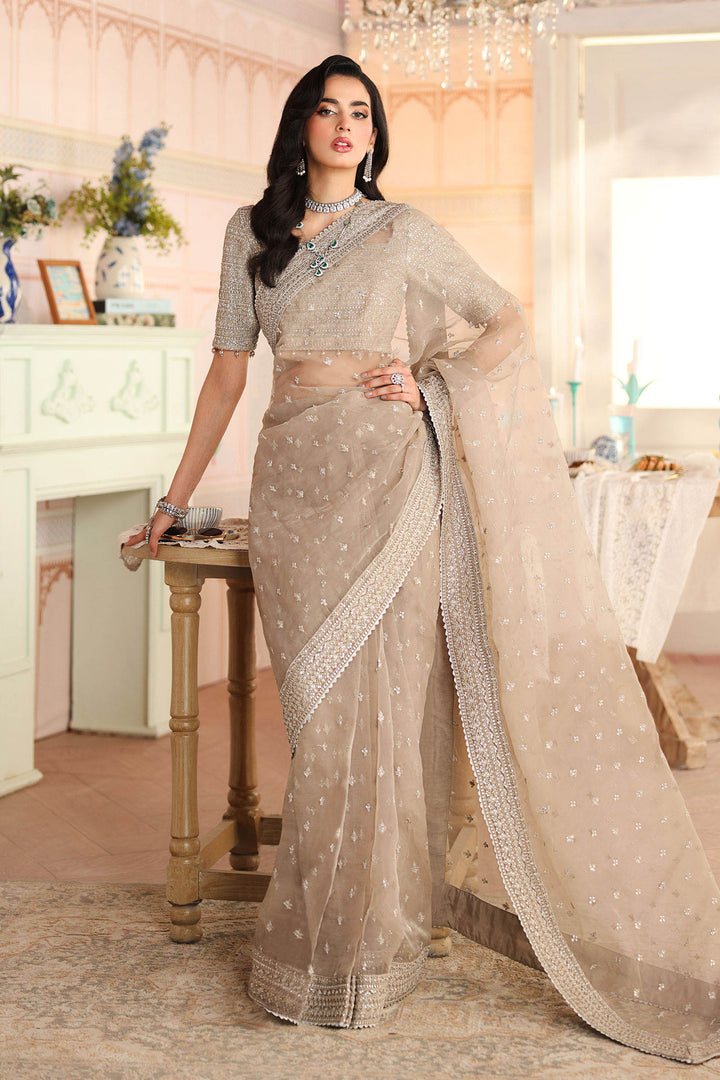 Embroidered Raw Silk Saree Pakistani Party Dress