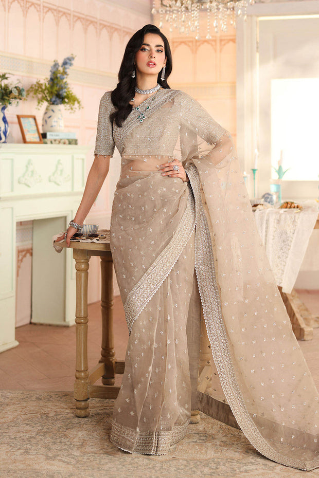 Embroidered Raw Silk Saree Pakistani Party Dress
