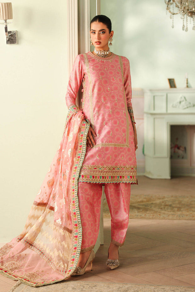 3 Piece Embroidered Raw Silk Suit Pakistani Party Dress