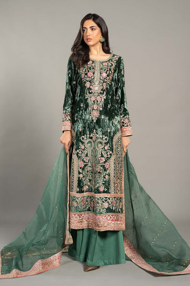 3 Piece Embroidered Velvet Suit Pakistani Party Dress