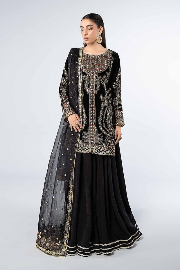 3 Piece Embroidered Velvet Suit Pakistani Party Dress