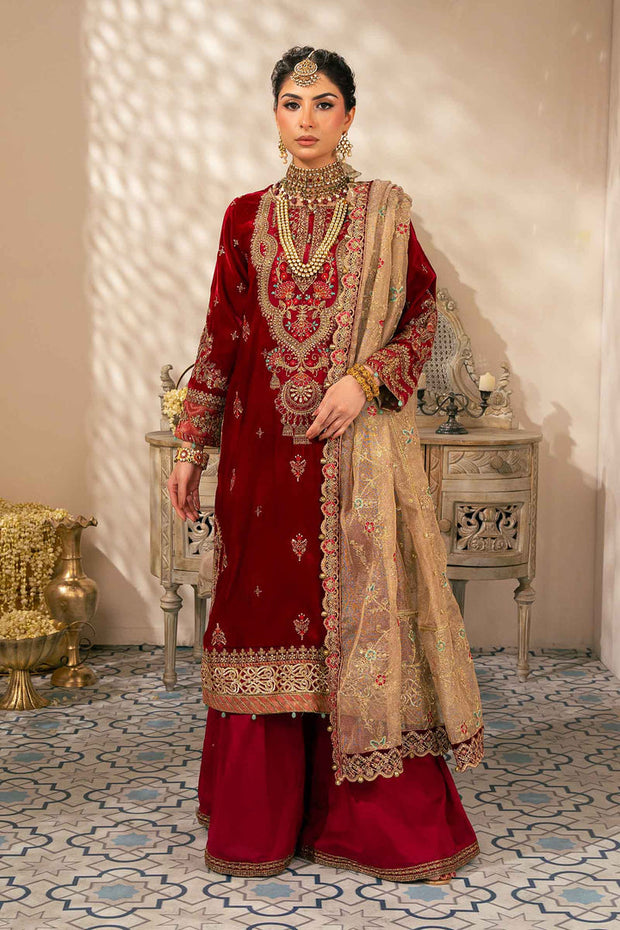 3 Piece Embroidered Velvet Suit Pakistani Party Dress