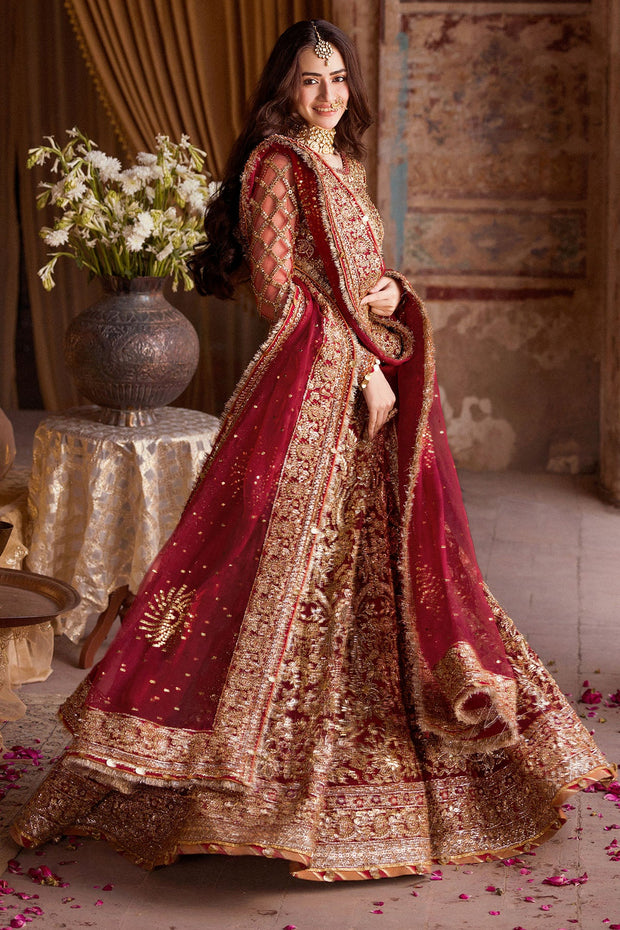 Crimson Red Pakistani Bridal Dress with Exquisite Embroidery