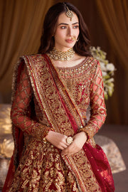 Crimson Red Pakistani Bridal Dress with Exquisite Embroidery