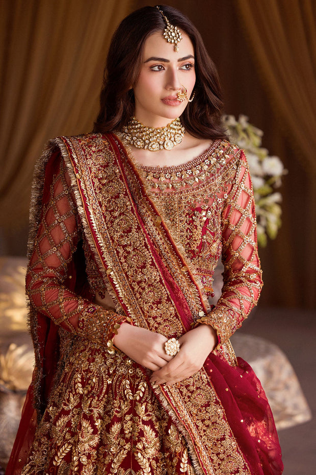 Crimson Red Pakistani Bridal Dress with Exquisite Embroidery