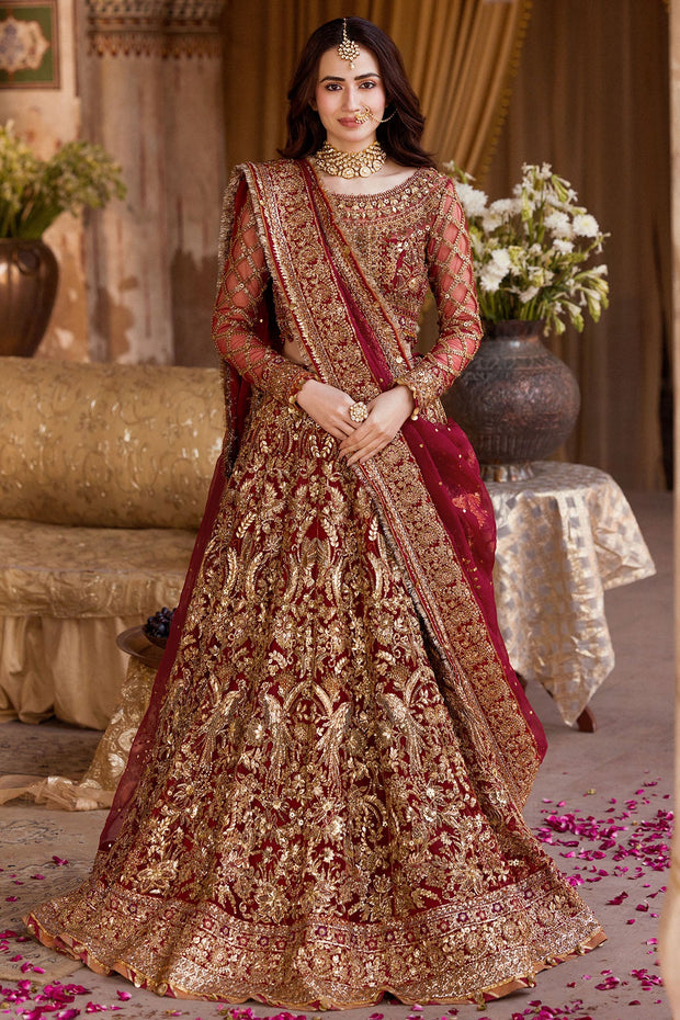 Crimson Red Pakistani Bridal Dress with Exquisite Embroidery
