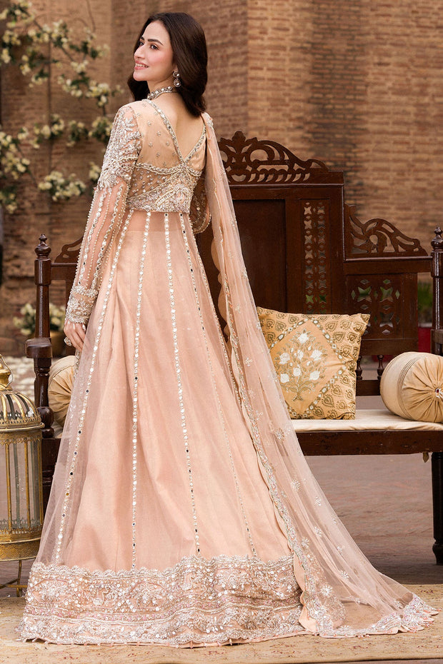 Elegant Pale Peach Pakistani Bridal Dress with Embellishments