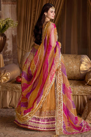 Elegant Pakistani Bridal Wear in Rust with Hand-Embroidered Detai
