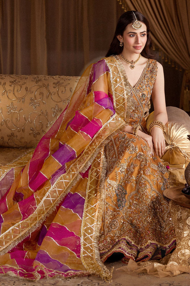 Elegant Pakistani Bridal Wear in Rust with Hand-Embroidered Detai