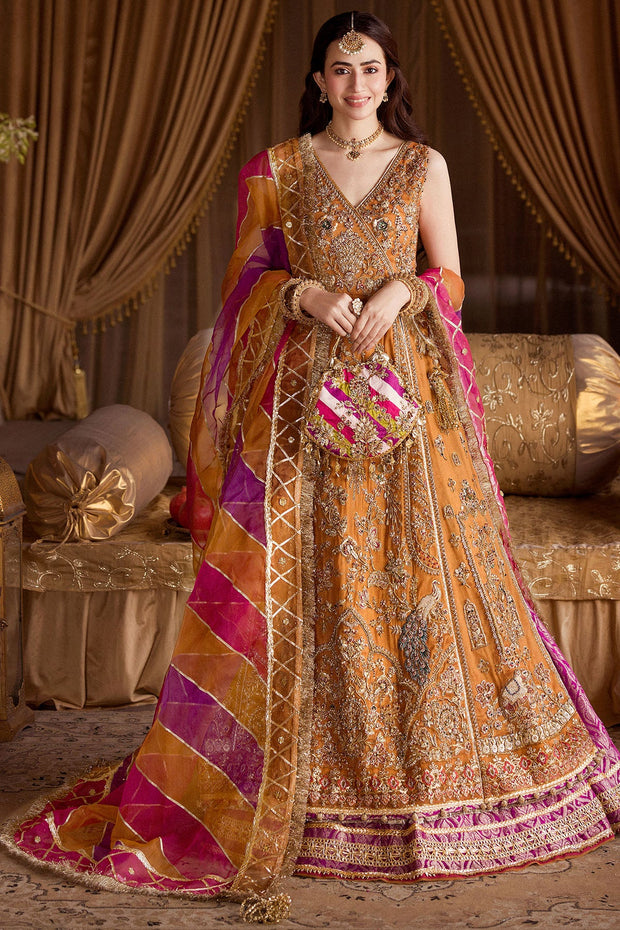 Elegant Pakistani Bridal Wear in Rust with Hand-Embroidered Detai