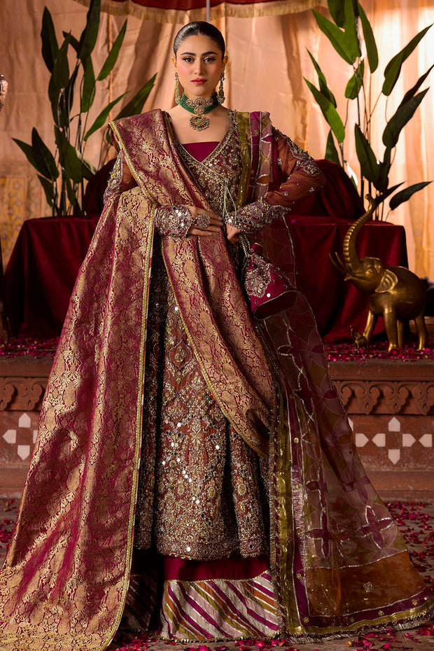 Fuchsia Pink Pakistani Bridal Dress with Intricate Embroidery