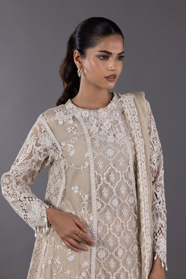 Sana Safinaz Elegant Beige Net Pakistani Dresses