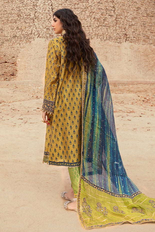 Salwar Kameez Pakistani Party Dresses