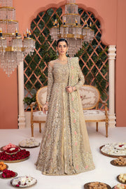 Elegant Net Pakistani Bridal Dress with Intricate Embroidery