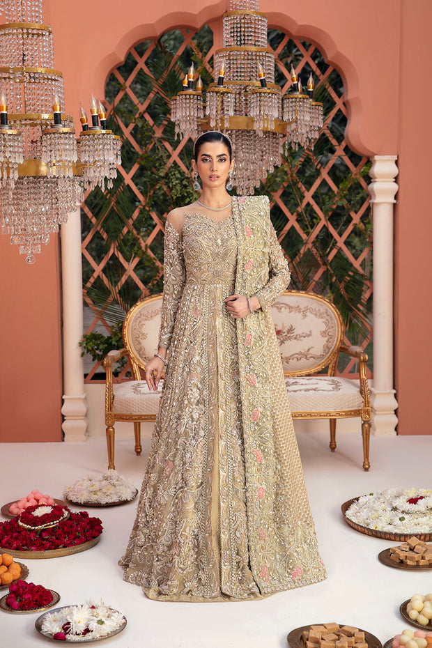 Elegant Net Pakistani Bridal Dress with Intricate Embroidery